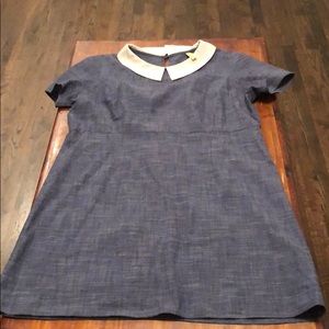 Blue and white Peter Pan collar dress